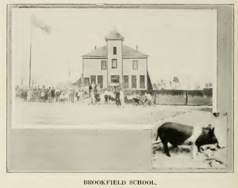 1918- Brookfield School (with pig)